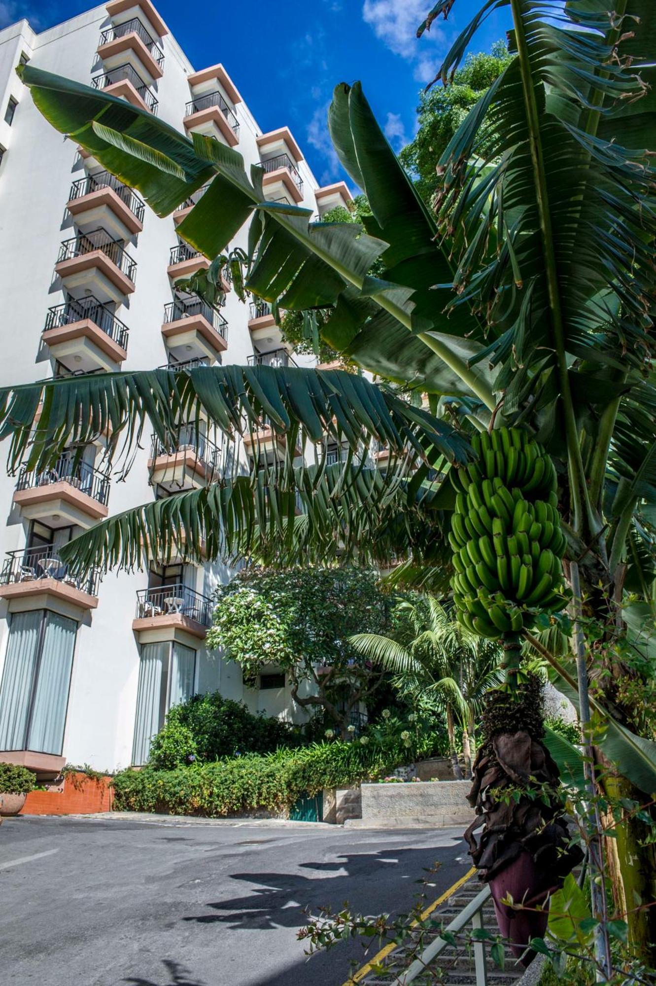 Dorisol Mimosa Studio Hotel Funchal  Exterior photo